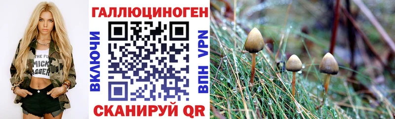 Галлюциногенные грибы прущие грибы  Купить закладки  Вязники 